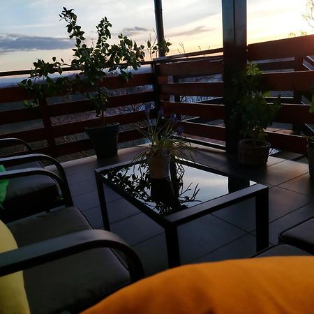 Apartman Masha 卡尔洛瓦茨 外观 照片