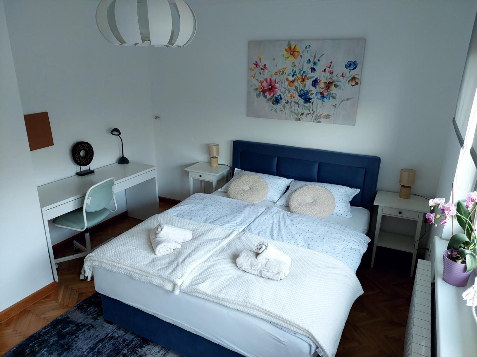 Apartman Masha 卡尔洛瓦茨 外观 照片