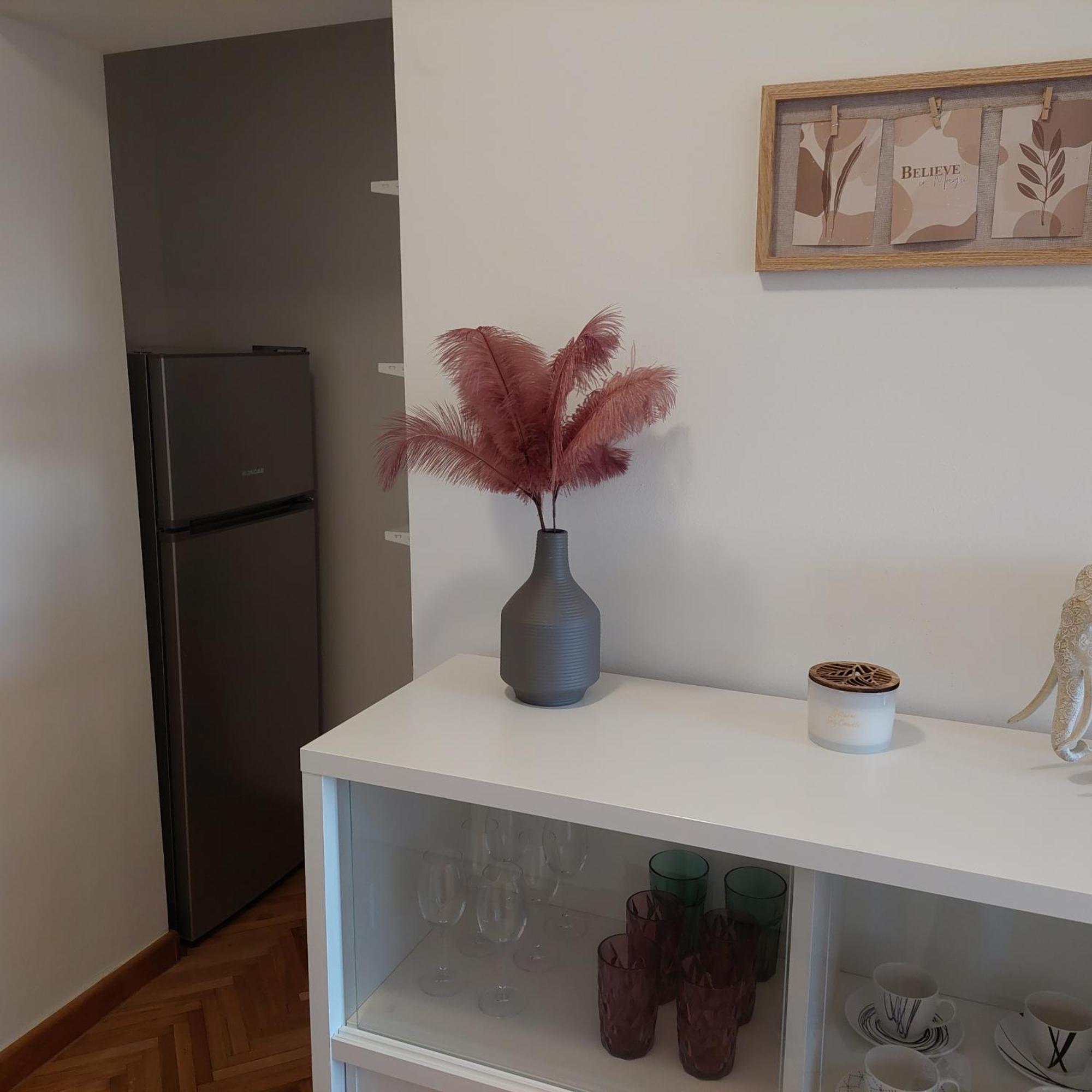 Apartman Masha 卡尔洛瓦茨 外观 照片